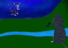 Follow your heart (Warrior cats)