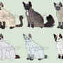 Warrior Cats Adopts|6/6 OPEN|USD/Points