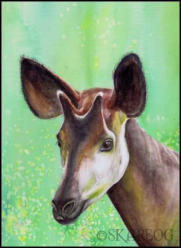 Okapi-skarbog