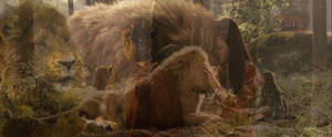 Aslan and Lucy