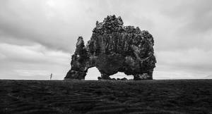 SEBASTIEN ROIGNANT normalmagazine