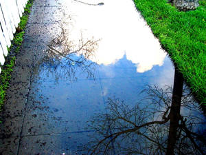 Cloudy Sidewalk2