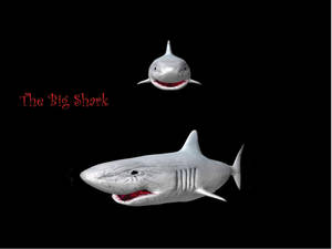 The Big Shark