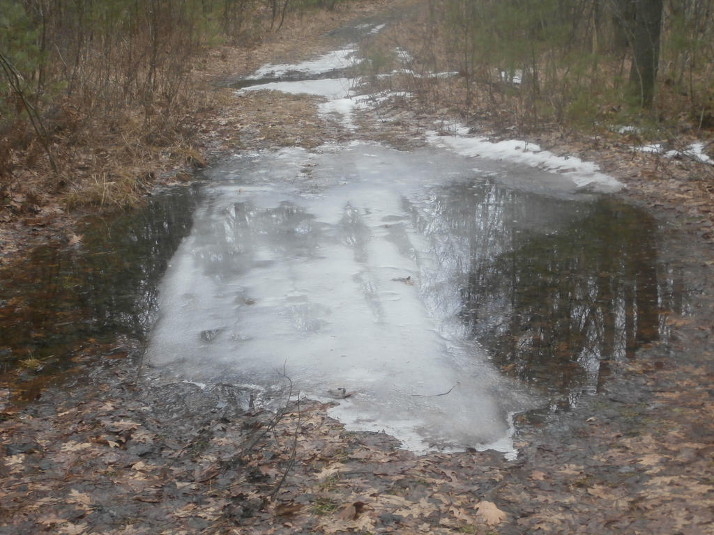 Path of Ice by LadyofSummer on DeviantArt