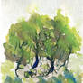 Watercolor Trees (Practise)