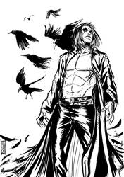 The Crow