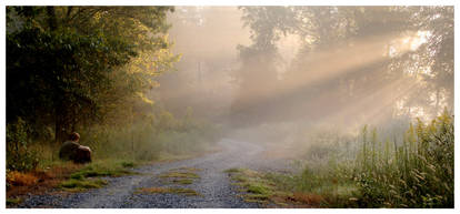 One Autumn Morning