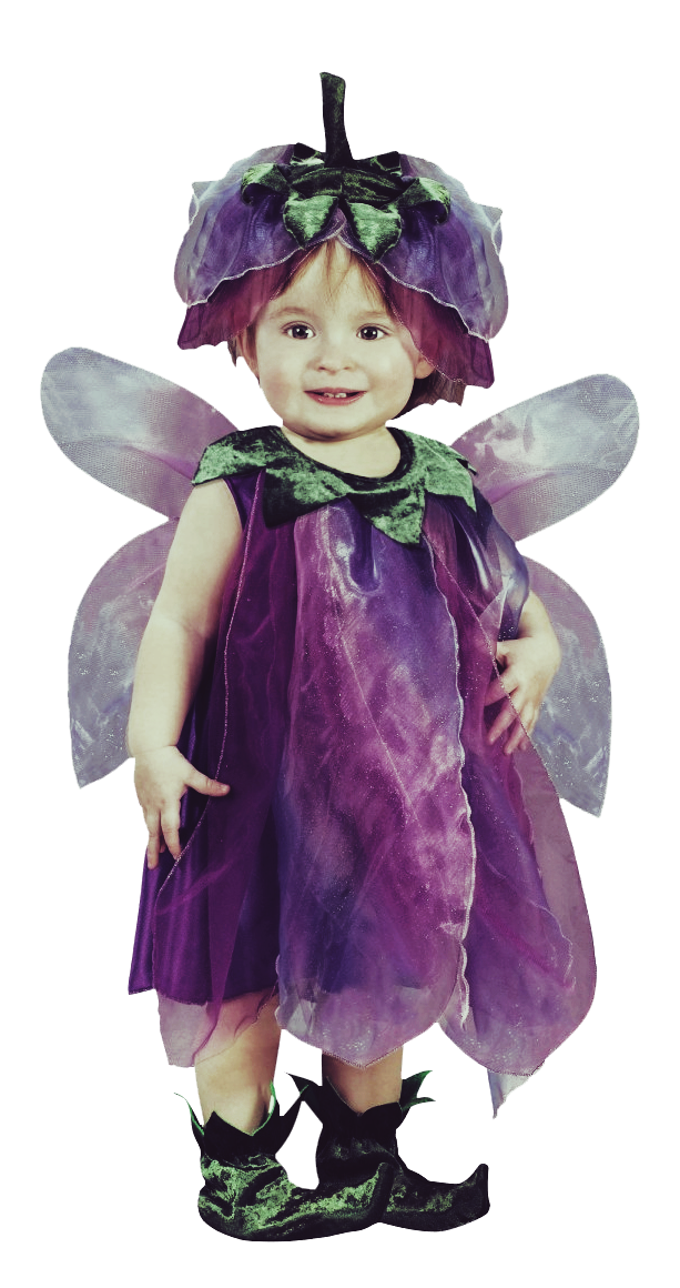 PlumFairy