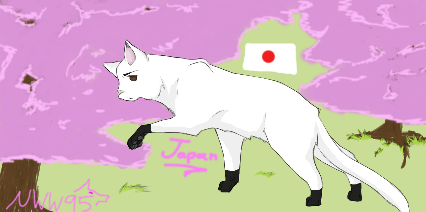 Japan Cat