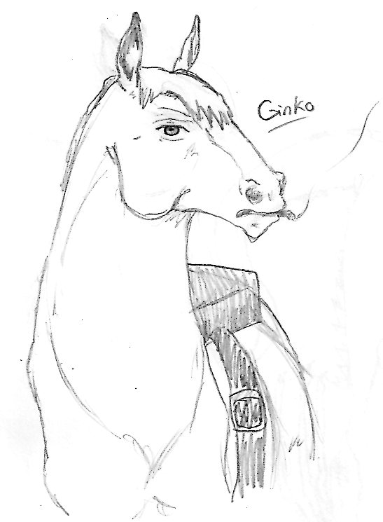 Ginko Horse