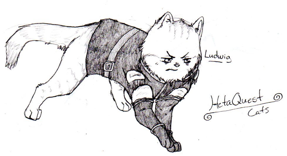 HetaQuest Cats: Ludwig