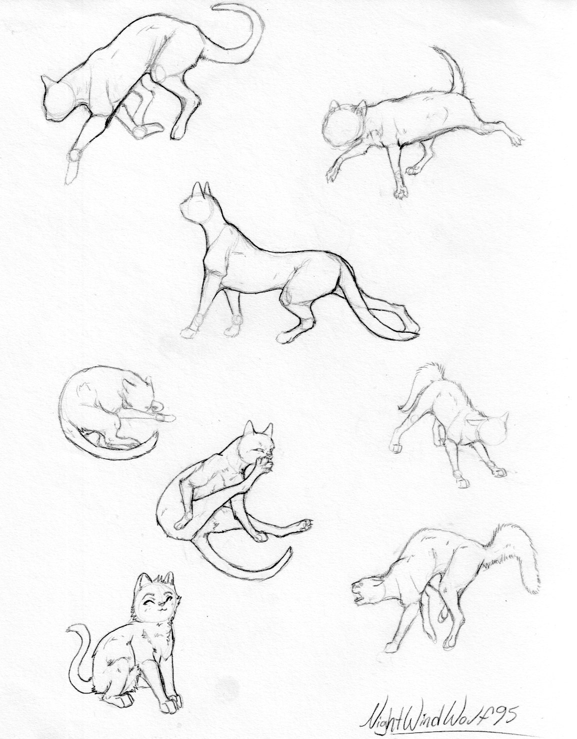 Some Cat Sketches