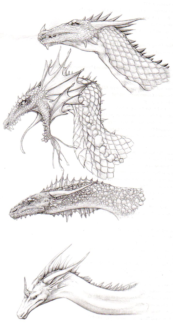 More Dragon sketches