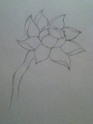 Flower Sketch