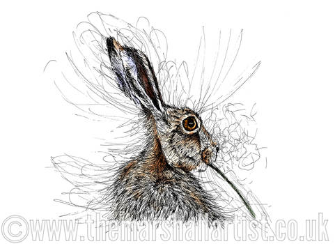 Hare Raising | Ink Scribble Drawing