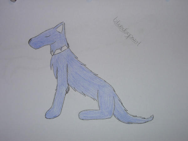 blue wolf by bluedogpaint on DeviantArt