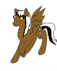 My pony OC