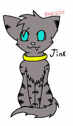 Jinx The Cat