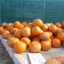 stock-pumpkins4