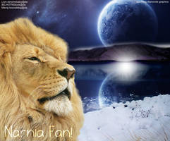 Narnia Fan, my life and wish