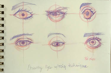 Eye practice with REIQ
