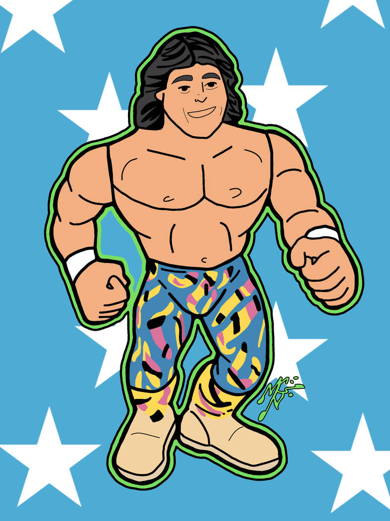 Hasbro WWF Marty Jannetty by MarkG72 on DeviantArt