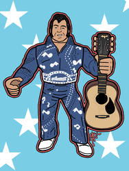 Hasbro WWF Honky Tonk Man