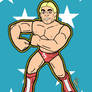 Hasbro WWF Ric Flair