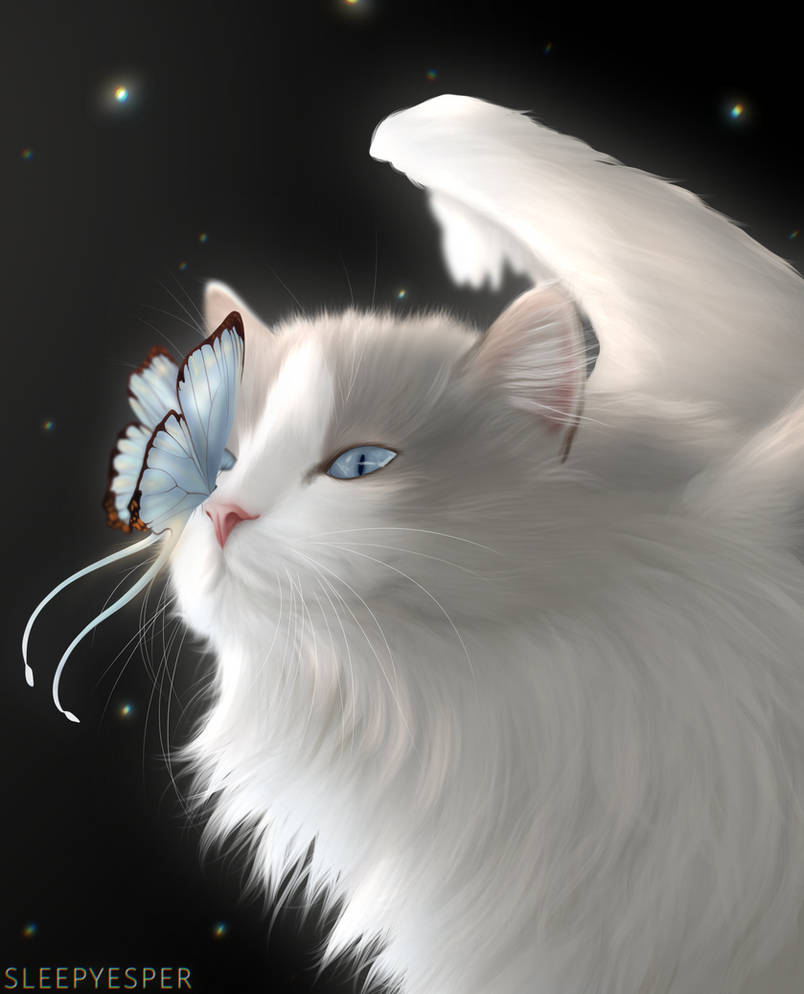 Flutter Bee Deviantart Flutter by EsperIsSleepy on DeviantArt