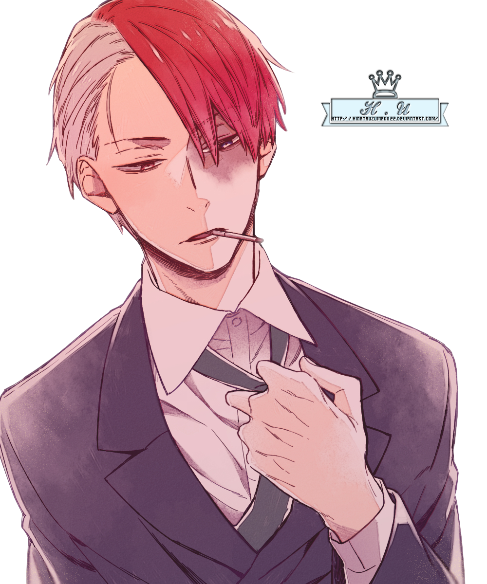 Render Todoroki by HinataUzumaki122 on DeviantArt