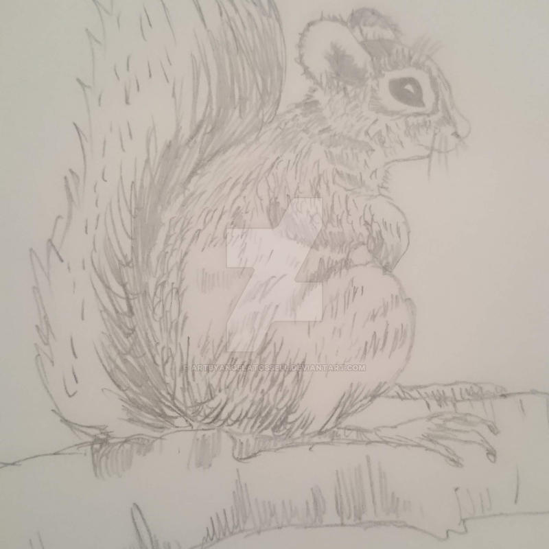 Deviantart Risumon Squirrel My squirrel by ArtbyAngelaTossell on DeviantArt