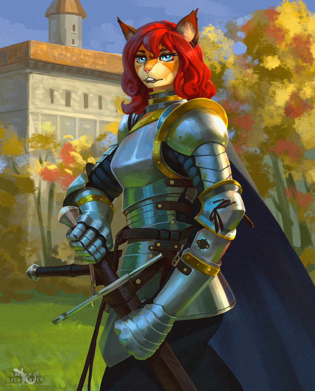 Knight Cat Rider Cat knight by Saltamor on DeviantArt