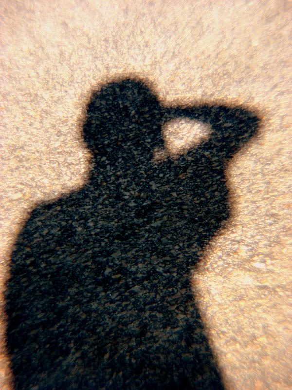 Shadow Shot by Moose23 on DeviantArt