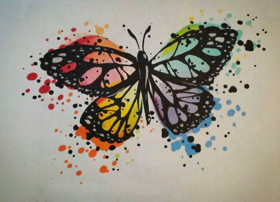 Butterfly