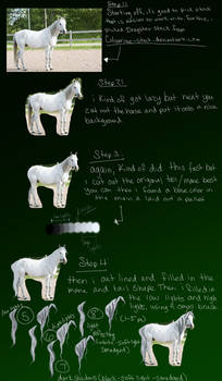 Mane/Tail Tutorial