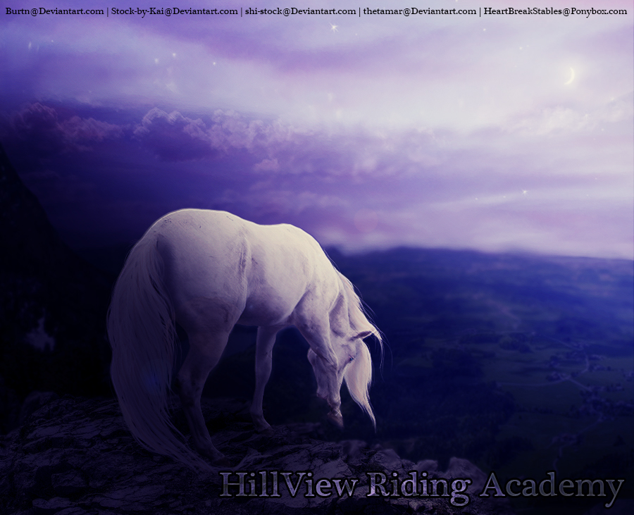 Hillview Riding Academy Contest