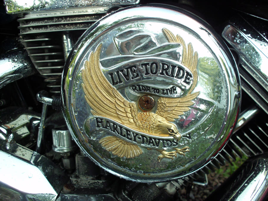 Harley Live to Ride by OfBlackFeathers on DeviantArt