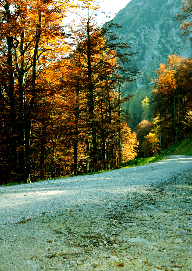 Hiking trail.