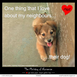 Neighbour's dog meme :: The Ministry of Nonsense