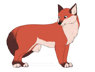 YCH fox