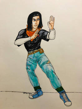 Android 17