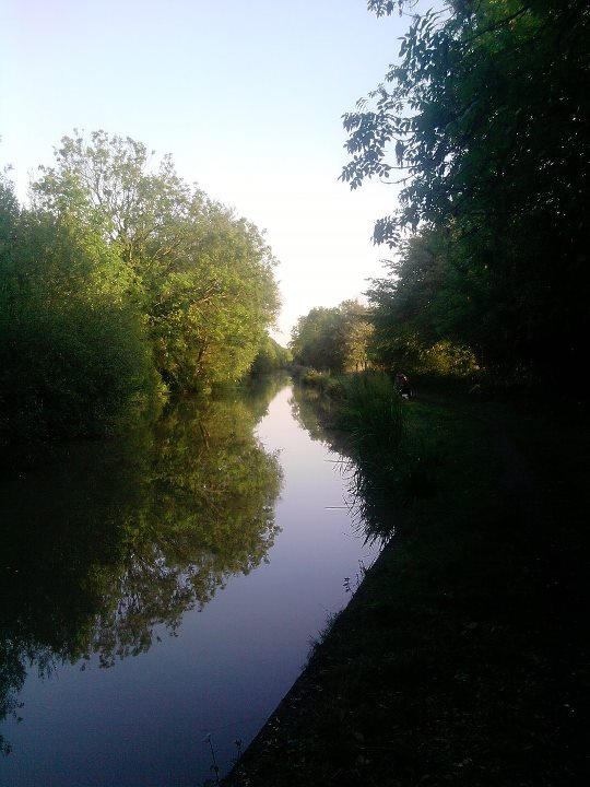 Reflections on the Canal