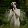 Poetize V