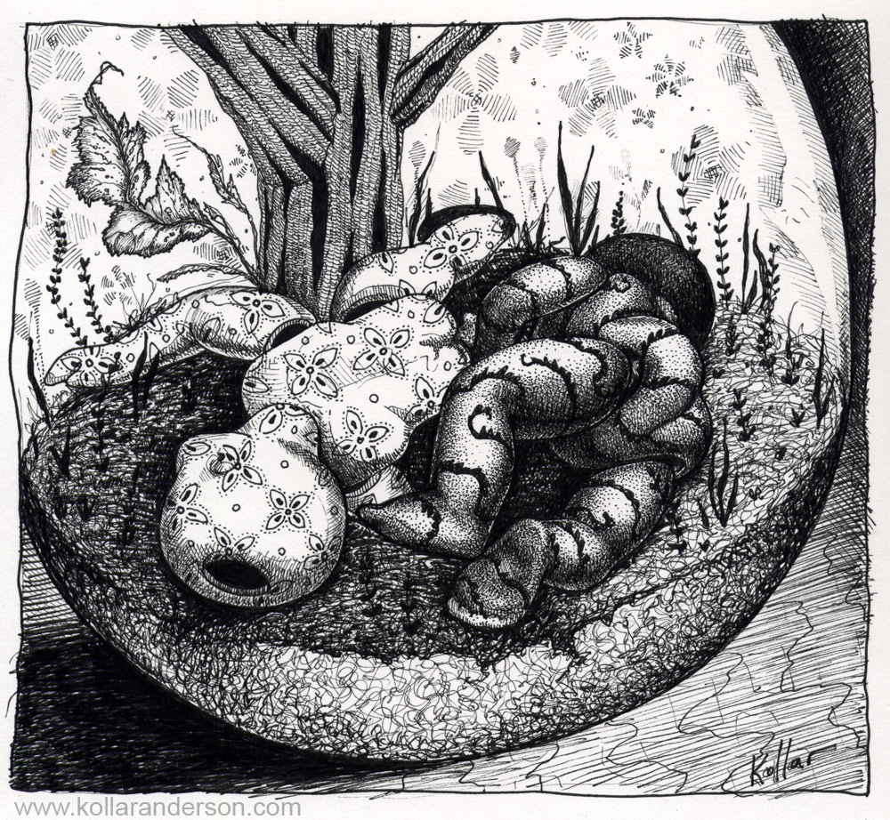 Vivarium Drawing2