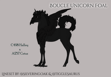 U363 Boucle Foal Design - Urbi et Corvi