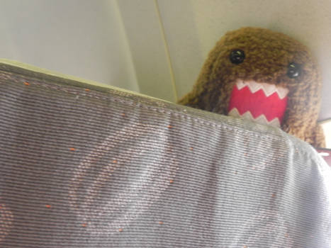 Domo?