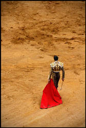 Torero 2 by santiago-simple