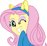 EQG Fluttershy Wink