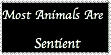 Most Animals Are Sentient by Karasu-no-Yami
