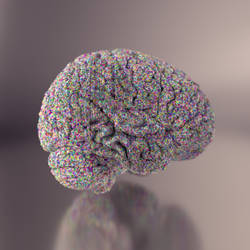 Brain particles